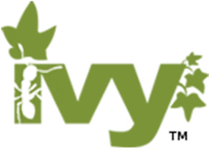 Apache Ivy