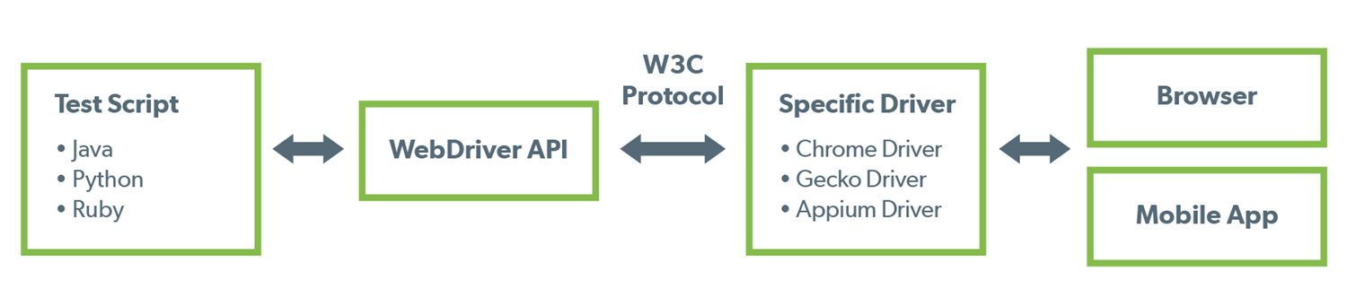 image-blog-w3c-protocol